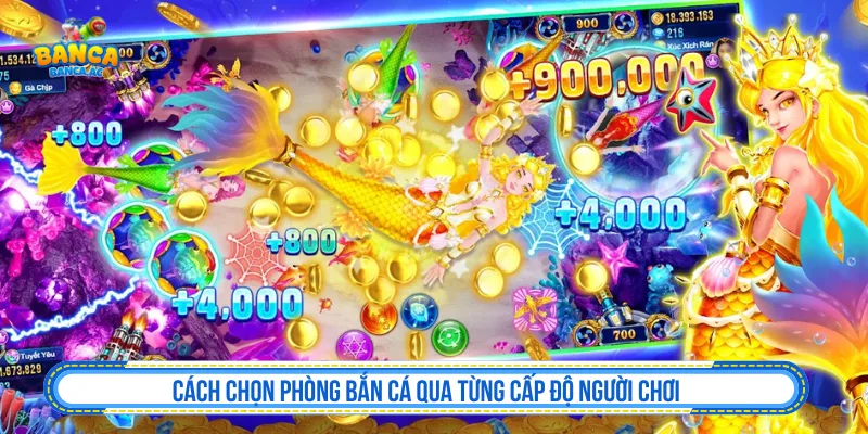 Cách chọn phòng bắn cá theo ngân sách dành cho người mới