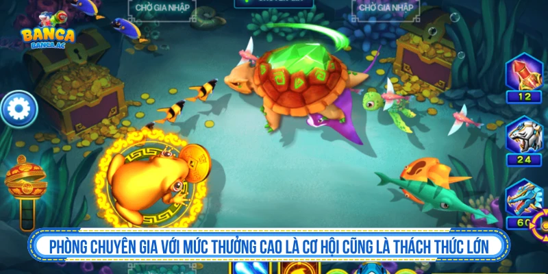 Phòng chuyên gia với mức thưởng cao là cơ hội cũng là thách thức lớn