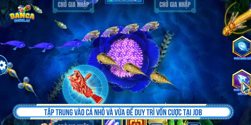 Tập trung vào cá nhỏ và vừa để duy trì vốn cược tại JDB